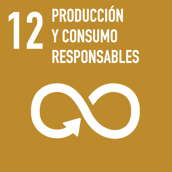 12. PRODUCCIÓN Y CONSUMO RESPONSABLES