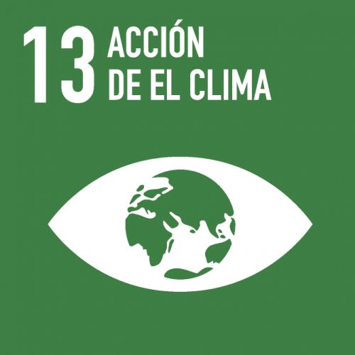 13. ACCIÓN POR EL CLIMA
