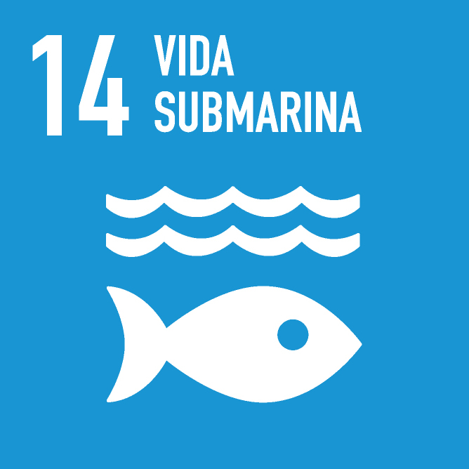 14. VIDA SUBMARINA