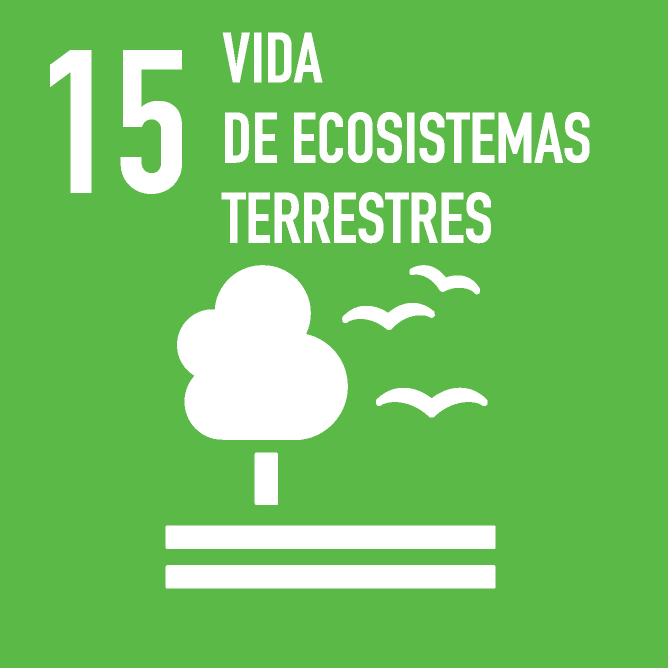 15. VIDA DE ECOSISTEMAS TERRESTRES