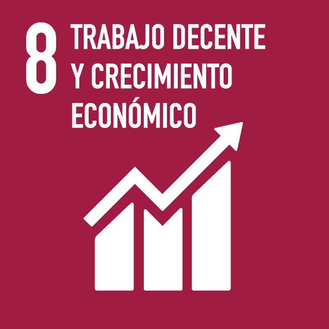 8. TRABAJO DECENTE Y CRECIMIENTO ECONÓMICO