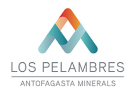 Minera los Pelambres